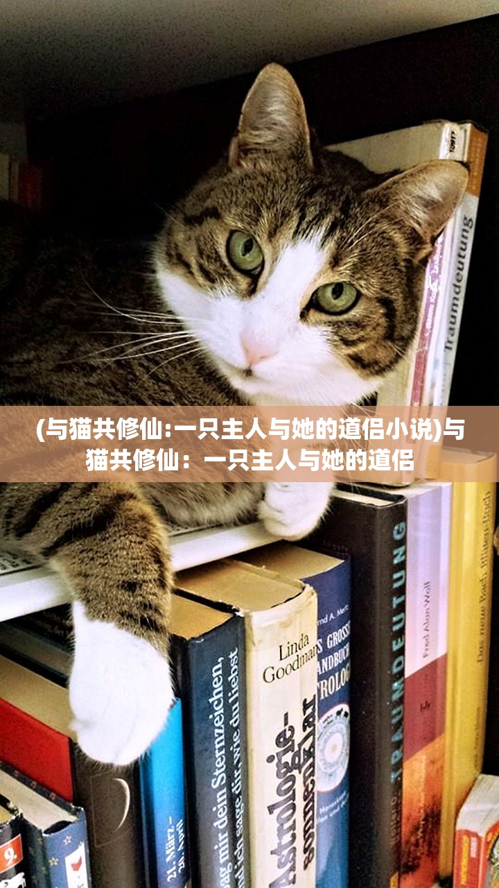 (与猫共修仙:一只主人与她的道侣小说)与猫共修仙：一只主人与她的道侣