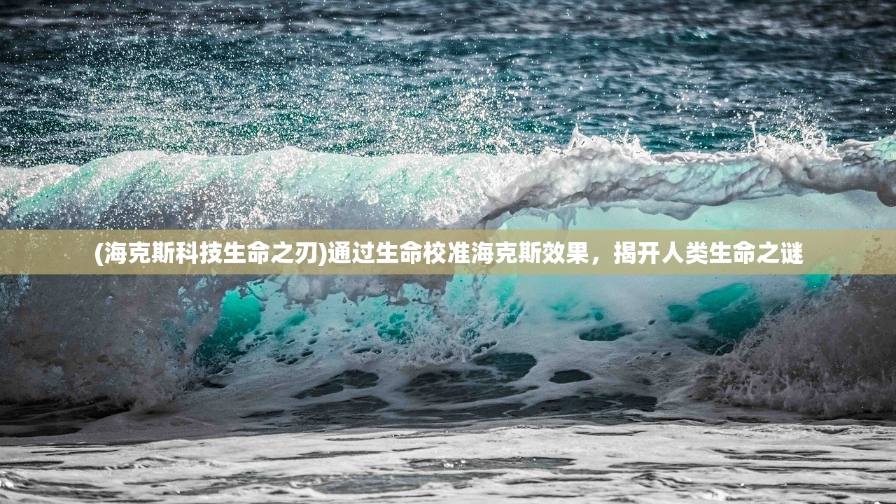 无敌小拳拳改名最新消息揭秘：新名称背后的故事与粉丝反应分享