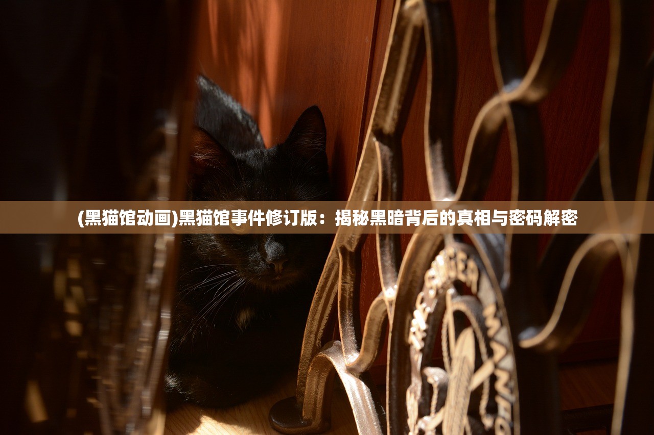 (黑猫馆动画)黑猫馆事件修订版：揭秘黑暗背后的真相与密码解密