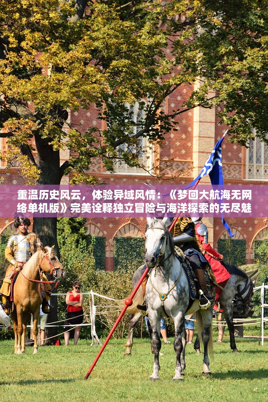 重温历史风云，体验异域风情：《梦回大航海无网络单机版》完美诠释独立冒险与海洋探索的无尽魅力