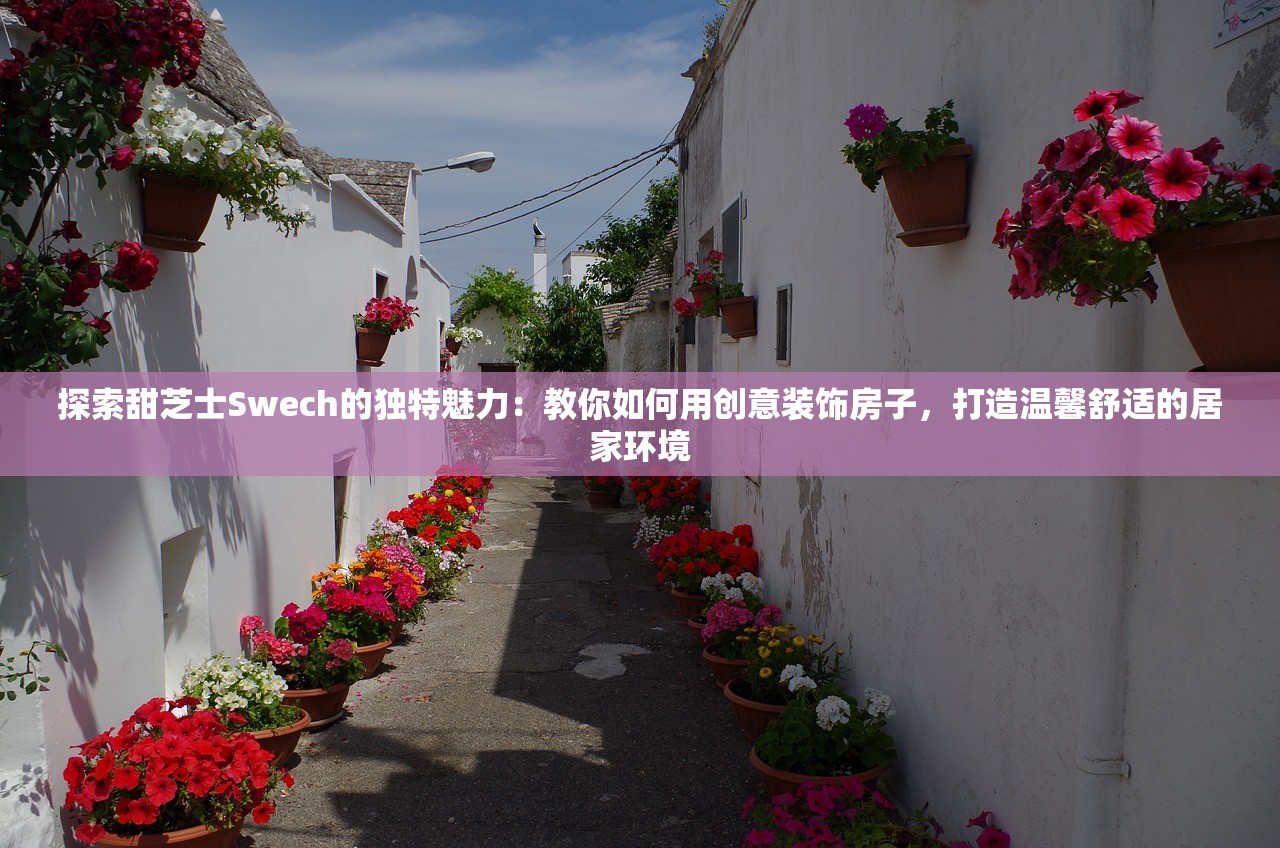 探索甜芝士Swech的独特魅力：教你如何用创意装饰房子，打造温馨舒适的居家环境